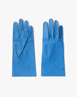 Cleaning Style Leather Glove